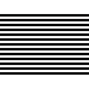 Color : Black and White, Size : 210x150cm YonCog Studio Photo Backgrounds Black and White Stripe Backdrop Background,Birthday Party Backdrops Decoration Studio Photo Portrait Background Color : Black and White, Size : 210x150cm YonCog Studio Photo Backgrounds Black and White Stripe Backdrop Background,Birthday Party Backdrops Decoration Studio Photo Portrait Background